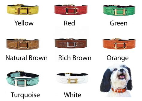 hermes dog leash and collar|Hermes dog harness.